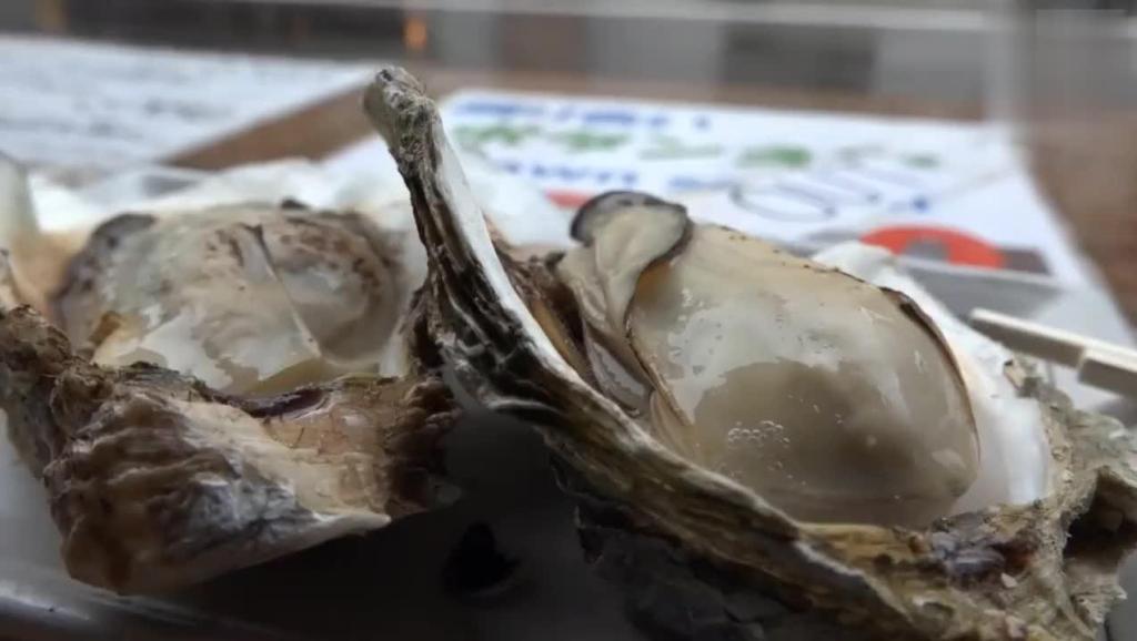 中国悟乐大师隔空击倒日本武师