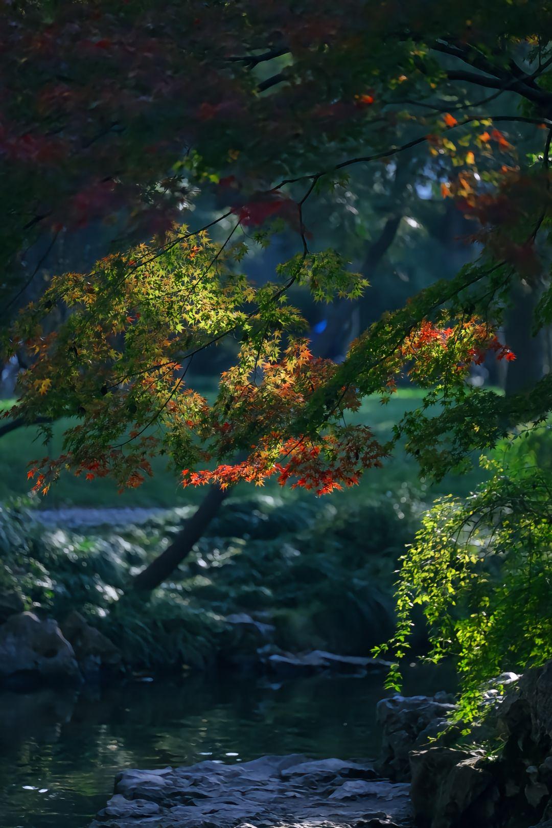 今天和朋友在讨论一个问题，这个社会上到底哪一些人不尊重老师？先把话说在前面：不