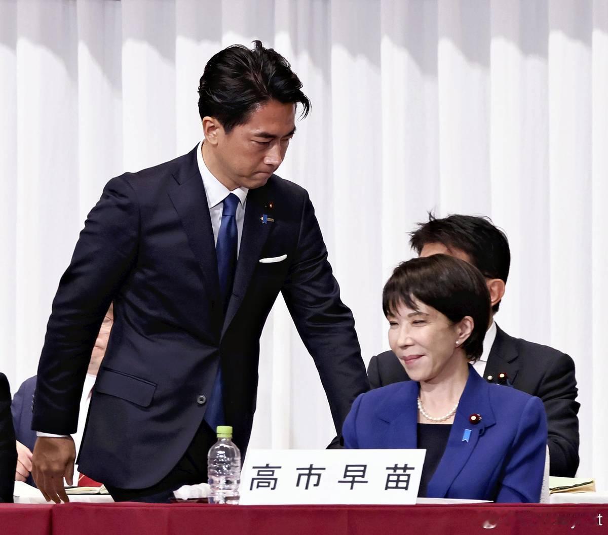 【自民党总裁选举或陷入二轮投票各派系酝酿关键作用】海外新鲜事日本日本自民党总