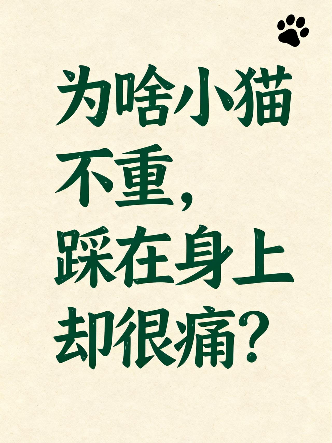 不知道你们有没有被猫咪泰山压顶的经历，反正我是有的。就是那种一跃而起，然后稳准