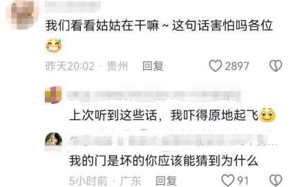 我们去找你姑姑好不好