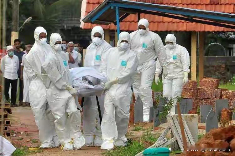 “尼帕病毒”来势汹汹，建议：每家备好5样东西，关键时刻能救命。刚看到世卫组