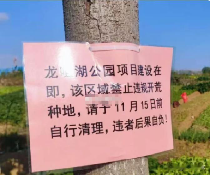 合肥又传来好消息！滨湖新区将再添一座生态大公园——龙咀湖公