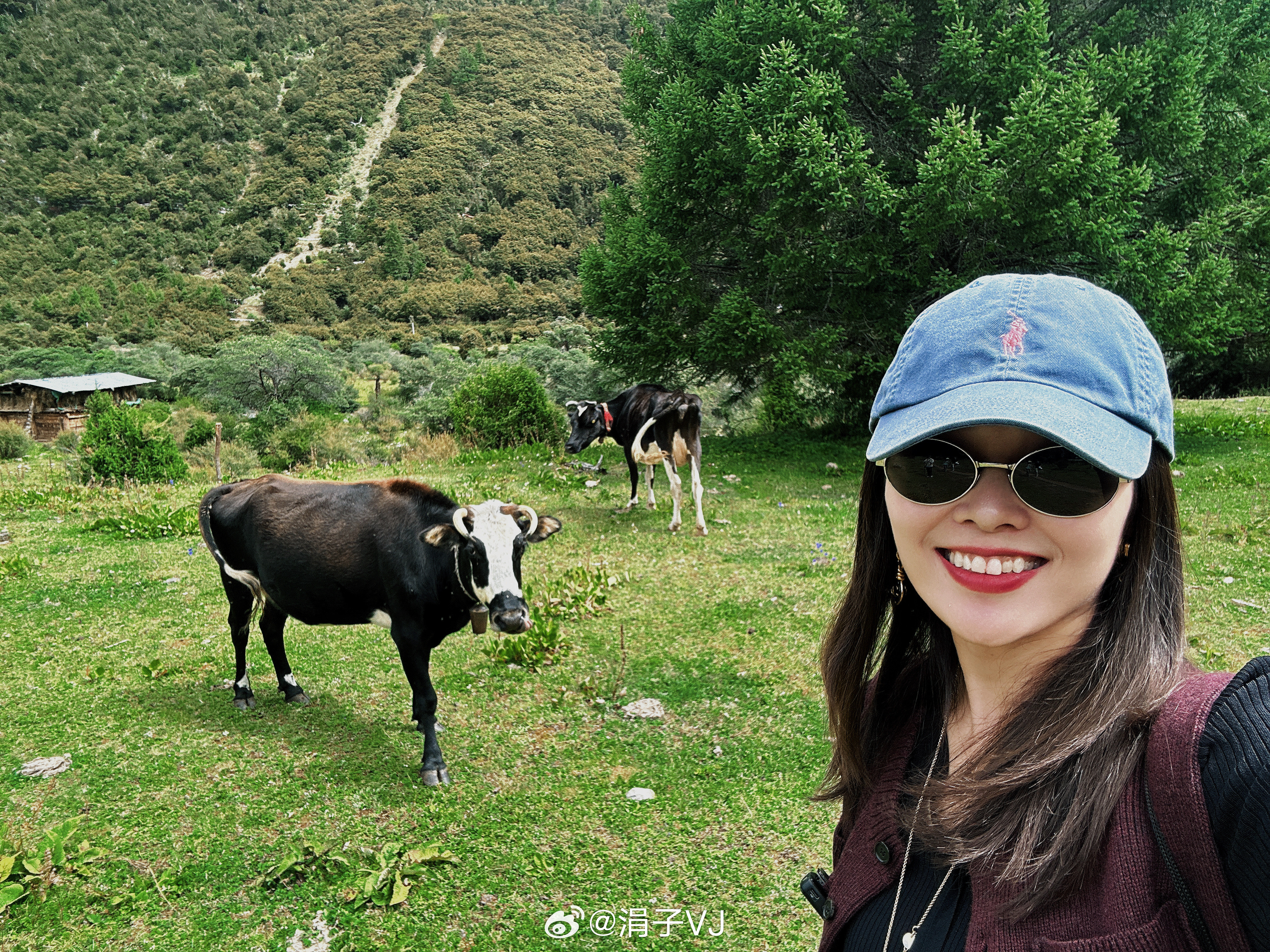 在白朗沟徒步射箭的一天，🐄真有镜头感[赞]没有信号，只有清新空气和小溪流水声。