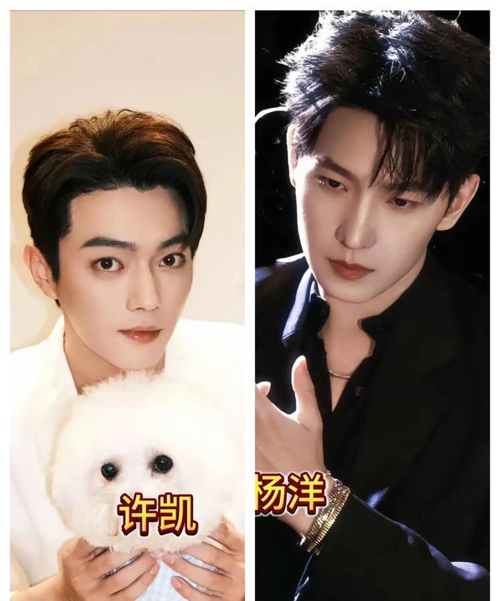 娱乐圈的男神颜霸，美男，男神你的标准，谁是第一帅
