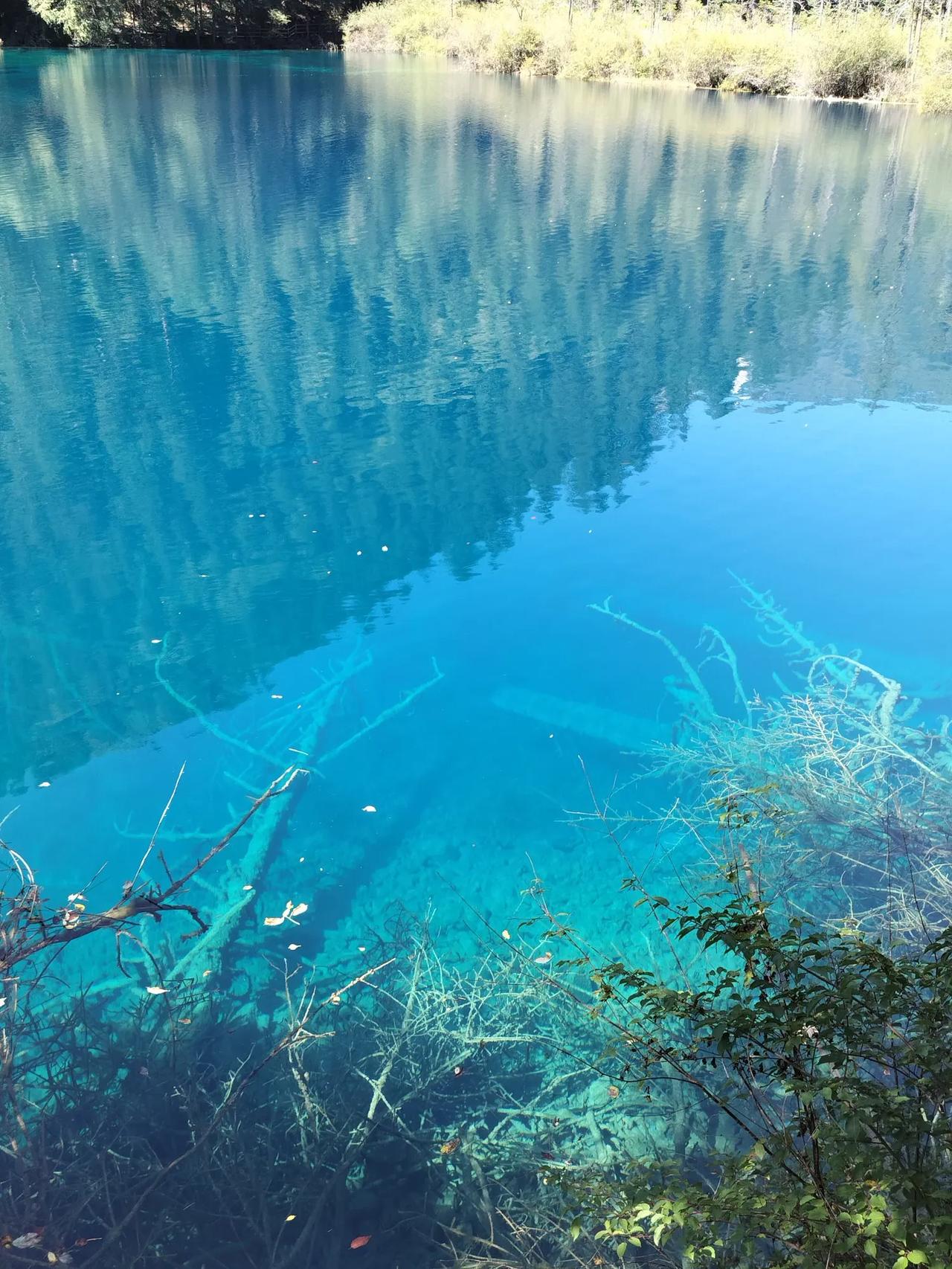 今年春天最想实现的心愿中双色球一等奖