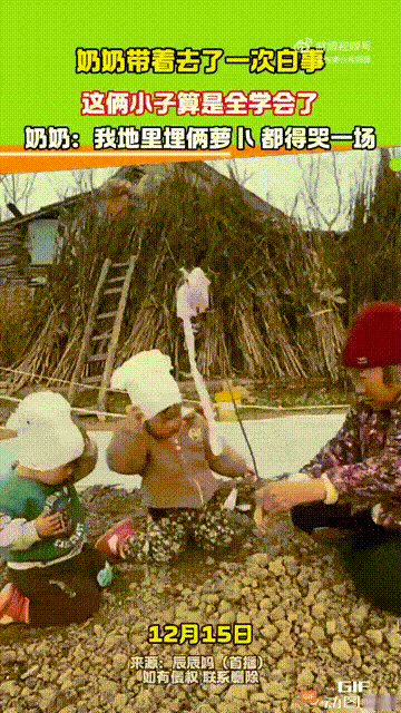 笑不活了！河南郑州一位奶奶带两个孙子去参加了一场“白事”，谁料两个孙子把其中的仪