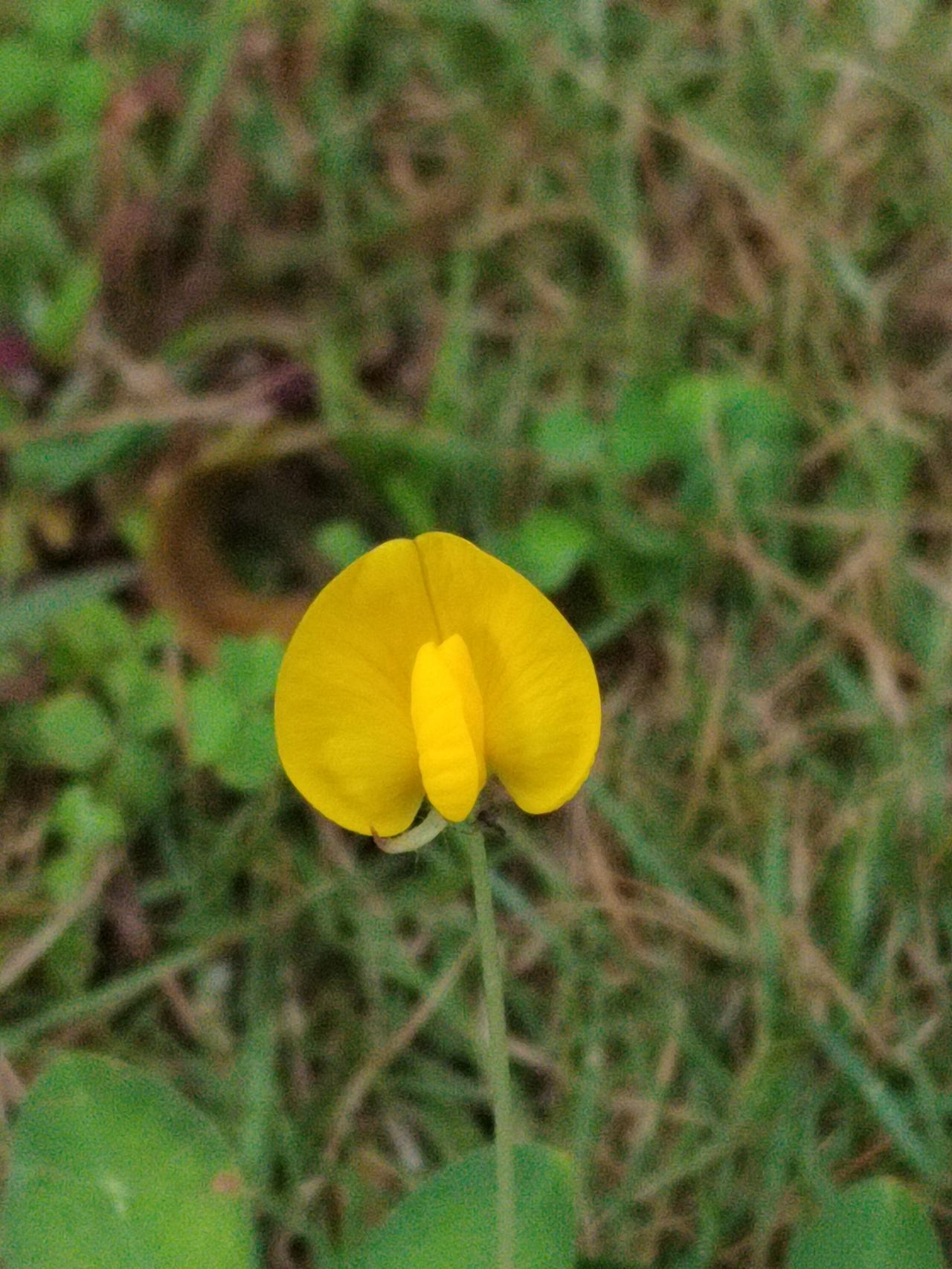 工作中做了事情，怎么拿到结果？首先，做事情前要挑对你，对公司，对部门有价值的事