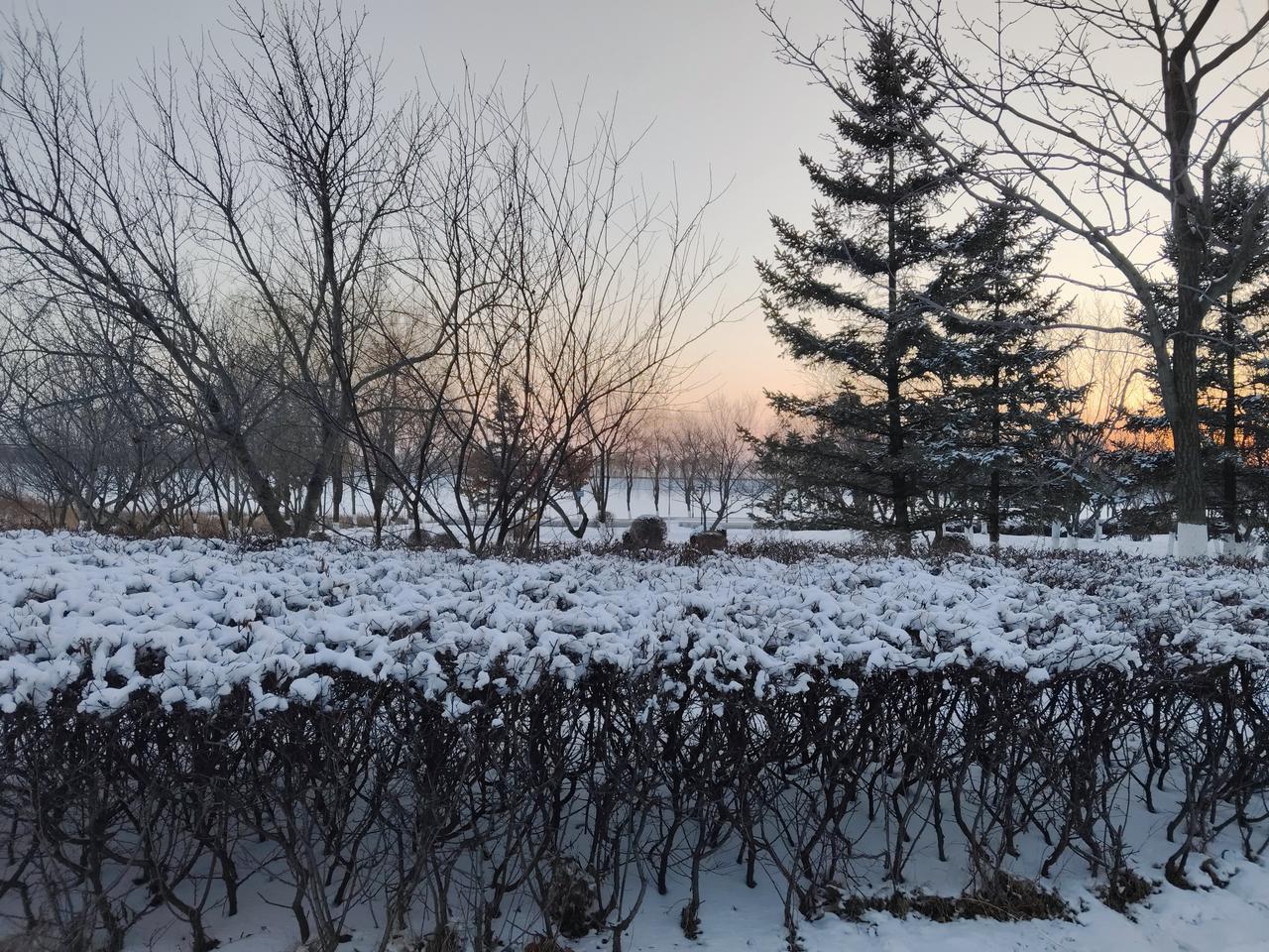 班主任贾霞因为学生宿舍火灾被判刑6年引发争议！2024年1月19日河南方城县