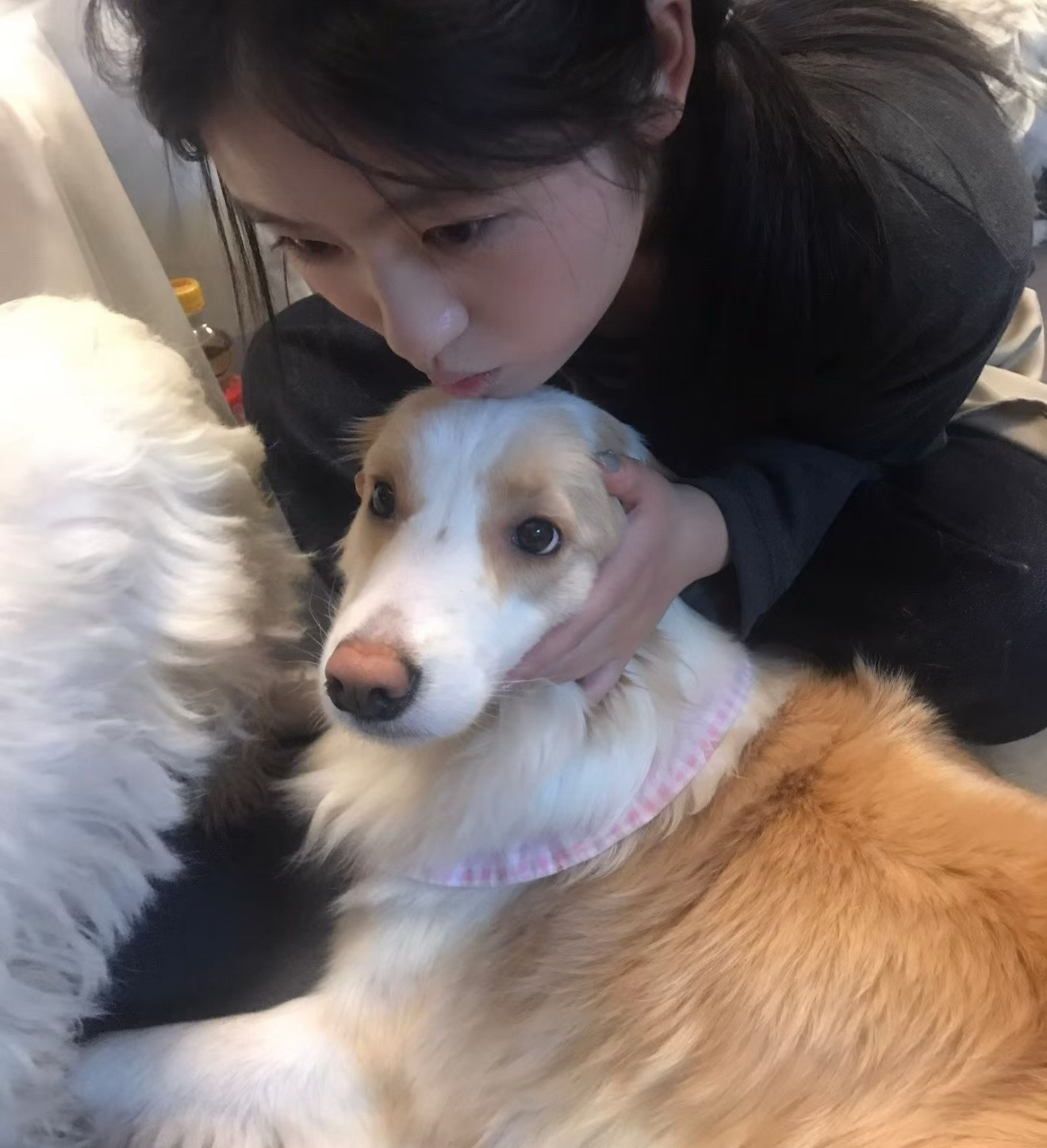 𝐖𝐞𝐂𝐡𝐚𝐭｜杂图风真人女生头像分享𝑆𝘩𝑎𝑟𝑒.🐰​