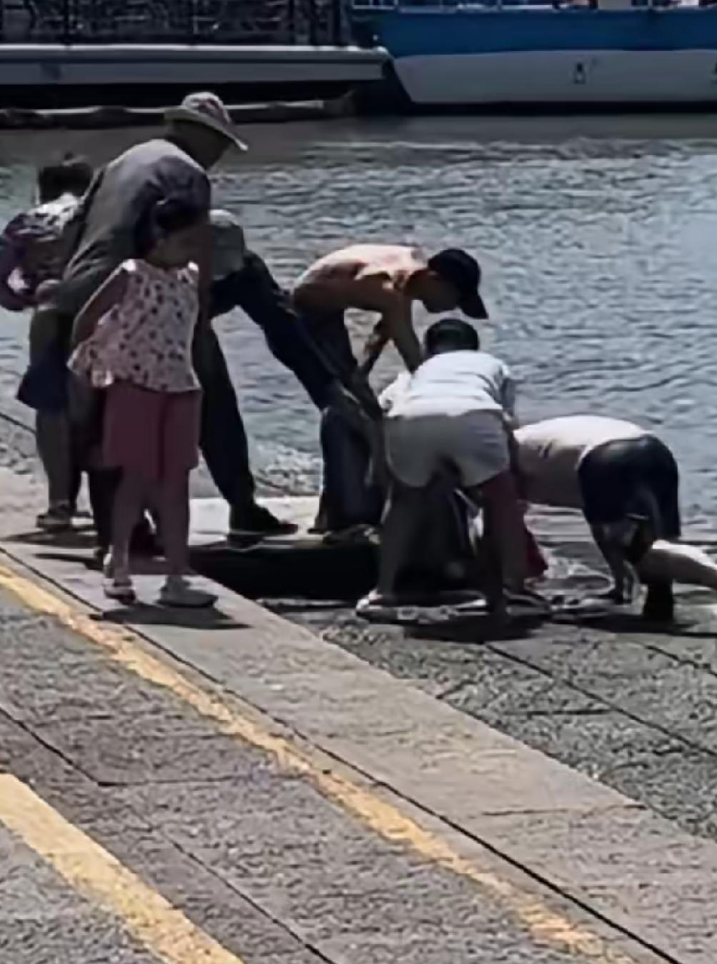 海河落水事件过去才五天，又有人掉下去了，为什么大家都不长记性？这回算是幸运被人救