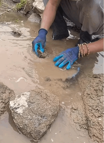 甘肃陇南去河里捞金的人不说捞金，而是说去捉“小黄鱼”。早在今年3，4月份的时候就