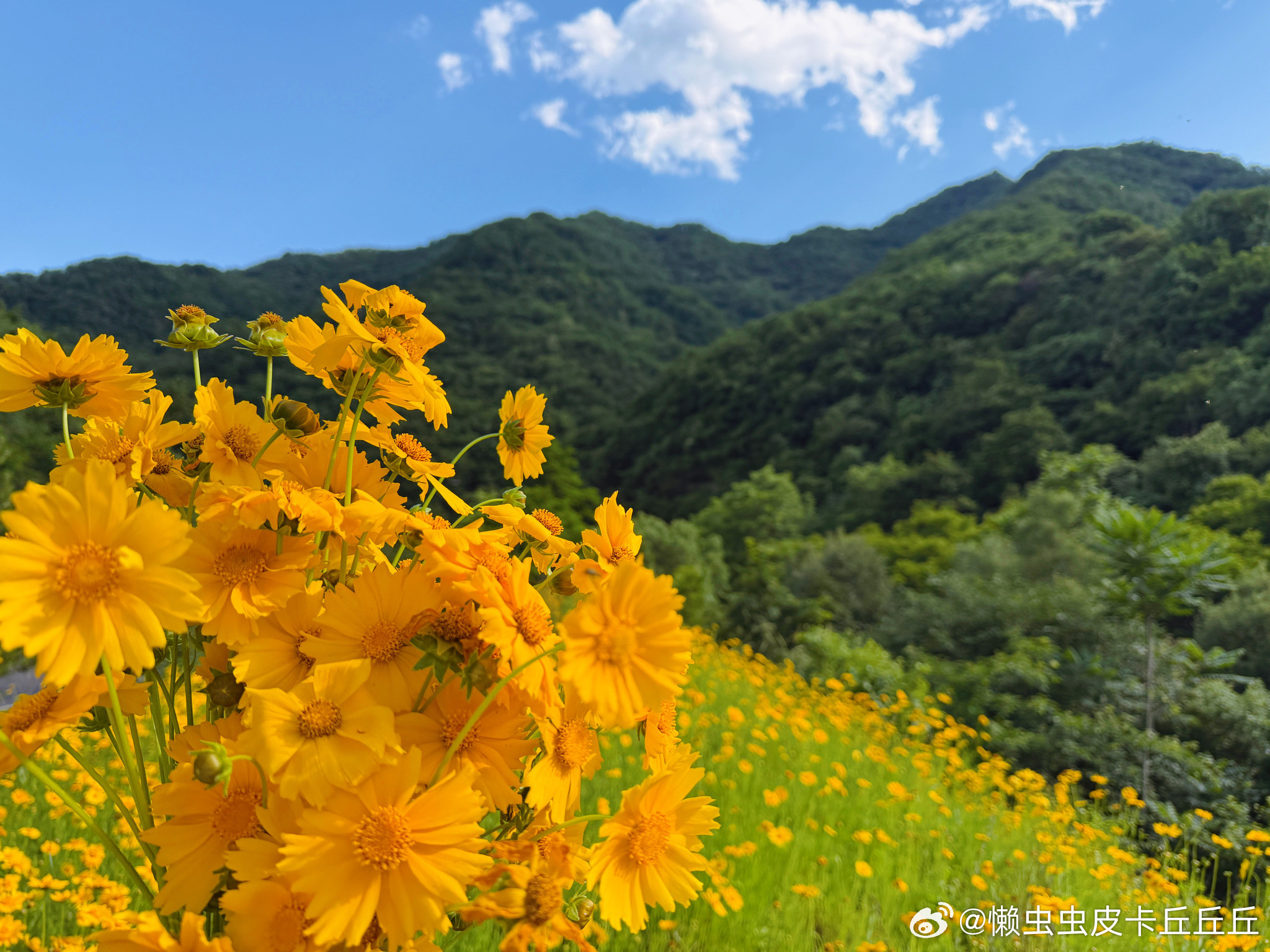 快乐周末💛