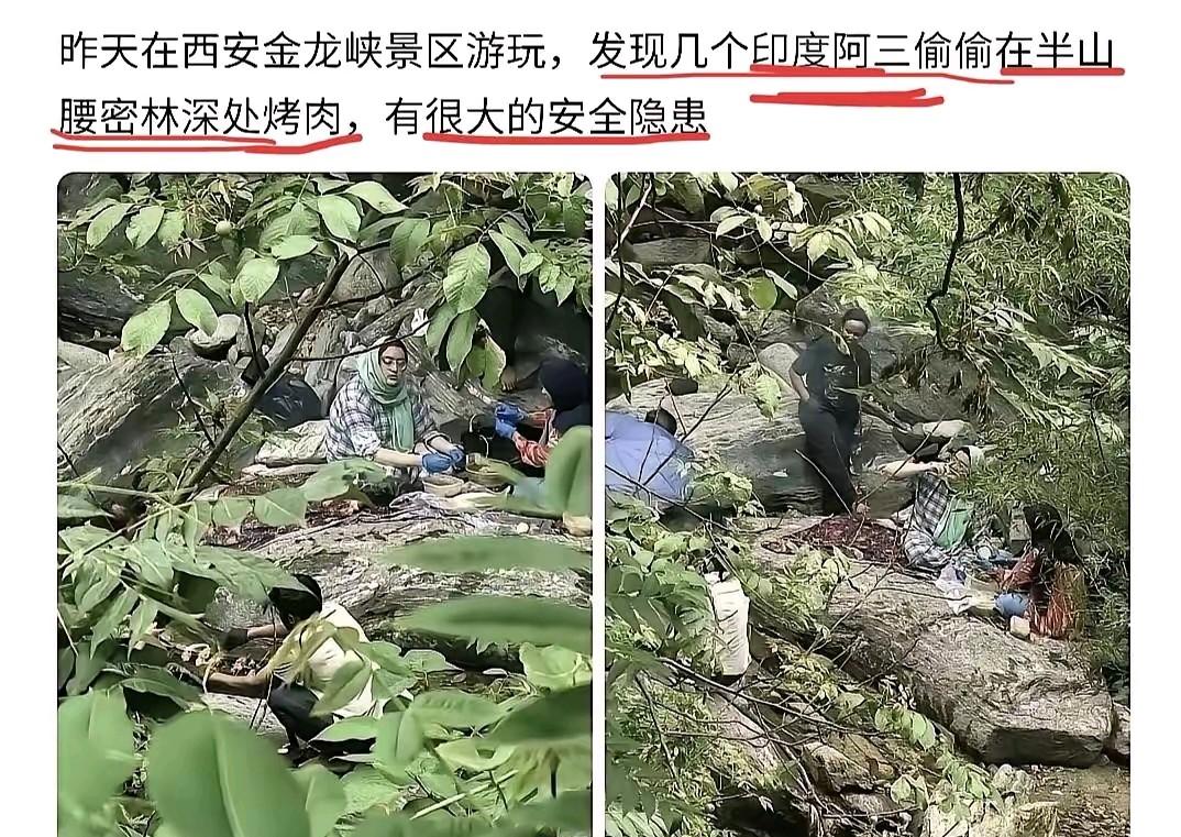 胆大包天！几名印度籍游客躲进西安金龙峡半山腰的密林深处，偷偷生起明火烤肉，专挑枝