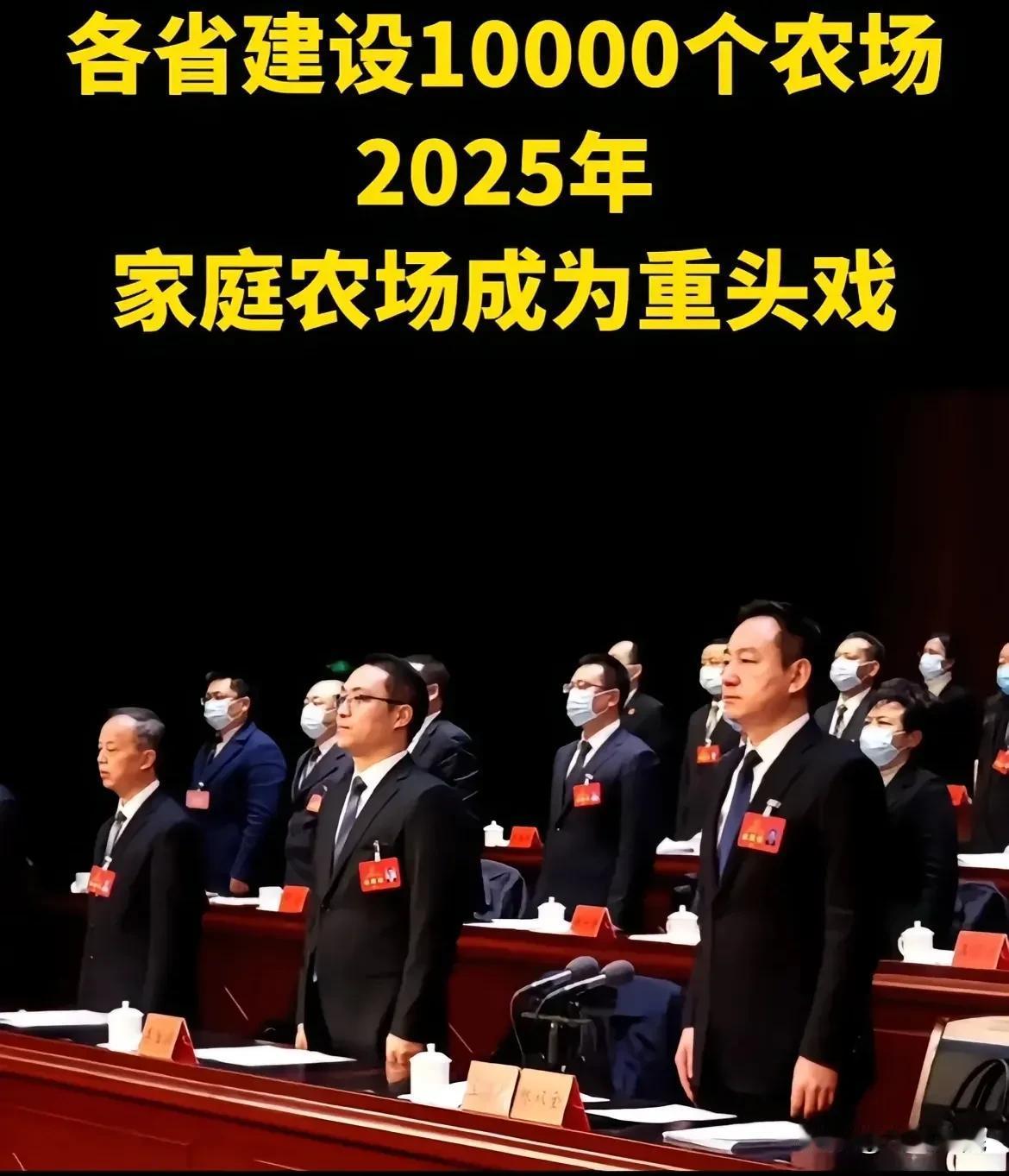 2025年一号文件，企业可以到农村收地，搞“农村集体经济组织”。收地干什么？