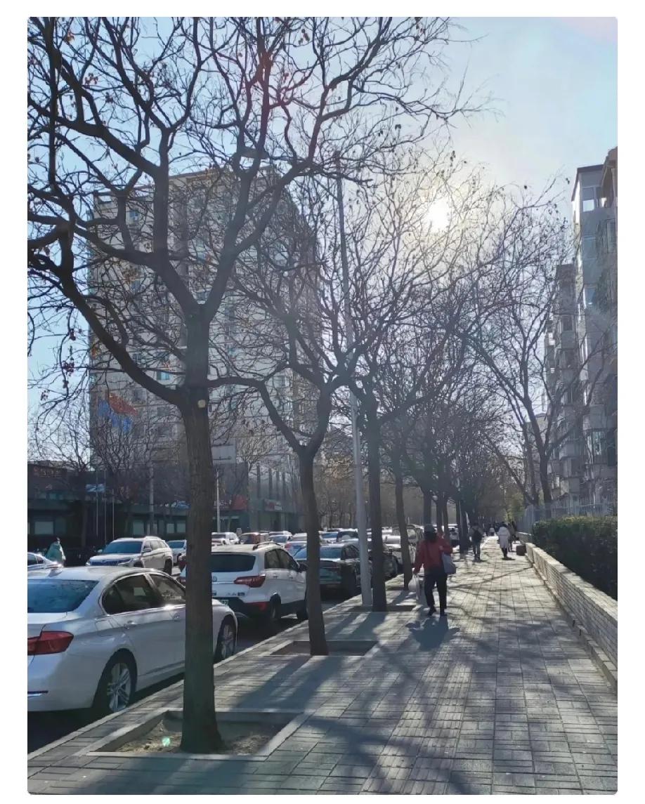 再过两天，即1月8日将正式进入三九天，后续还会迎来四九天，寒冷天气持续时间较长。