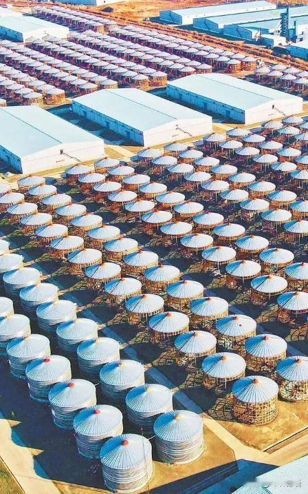 明牌了，感觉要做好打仗准备了！中国2025年囤积了充足的物资，即便这样，我们还顺