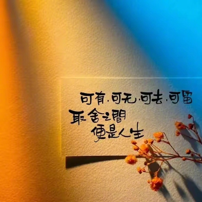 -这世上有两个我一个长川照晚霞