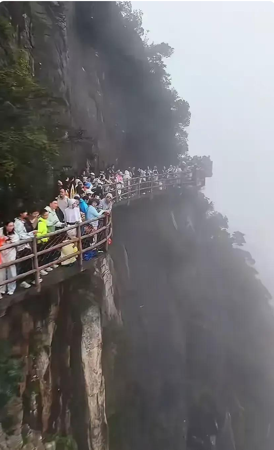 天呐！他们是怎么做到，一点都不害怕的啊？