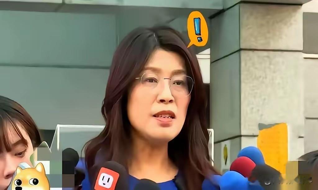 大陆这边刚把那个搞“台独”的沈伯洋挂上号，国民党的柯志恩就跳出来说，要是大陆敢在