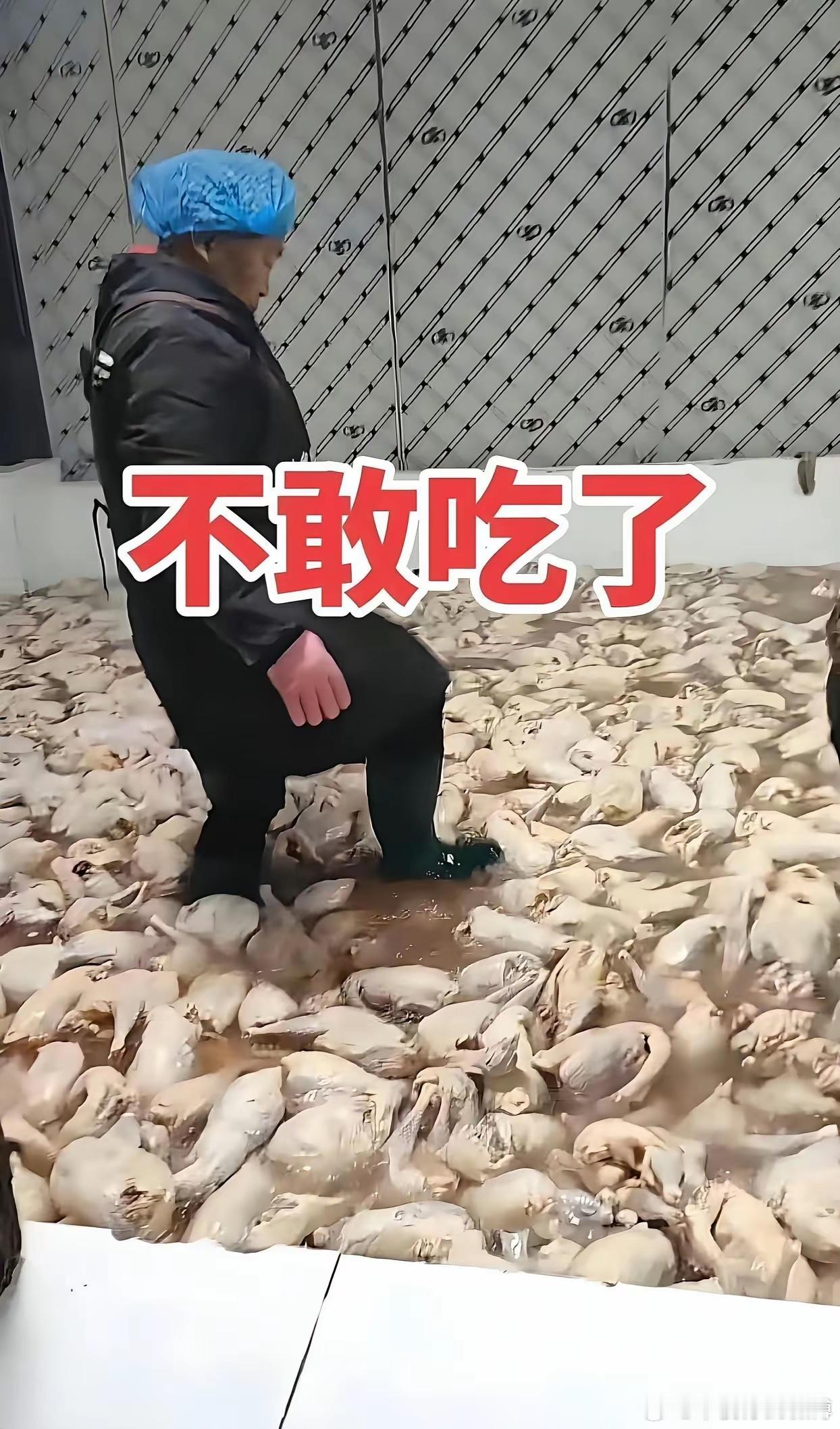 这些天杀的，吃啥才是安全的，谁能告诉我？