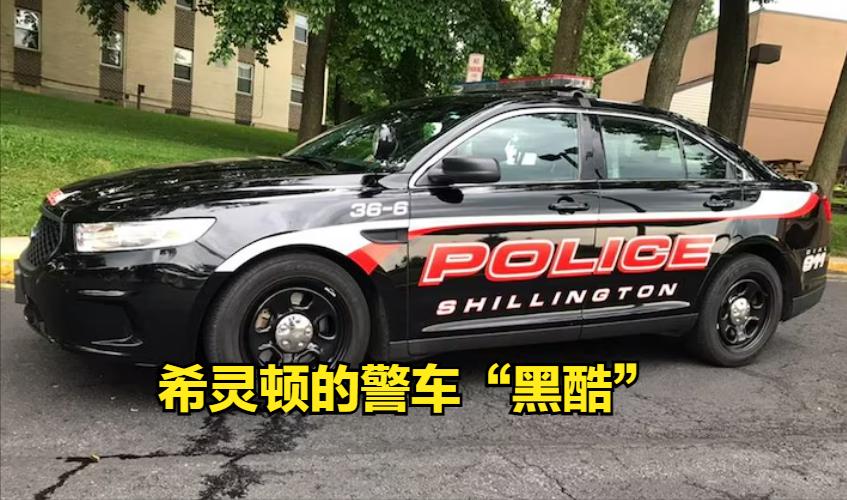 枪支随意放，狗也“会开枪”！美国周二晚11点13分，宾夕法尼亚州—希灵顿（Sh