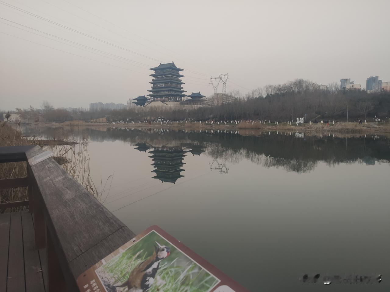 郑州市西流湖公园的傍晚！