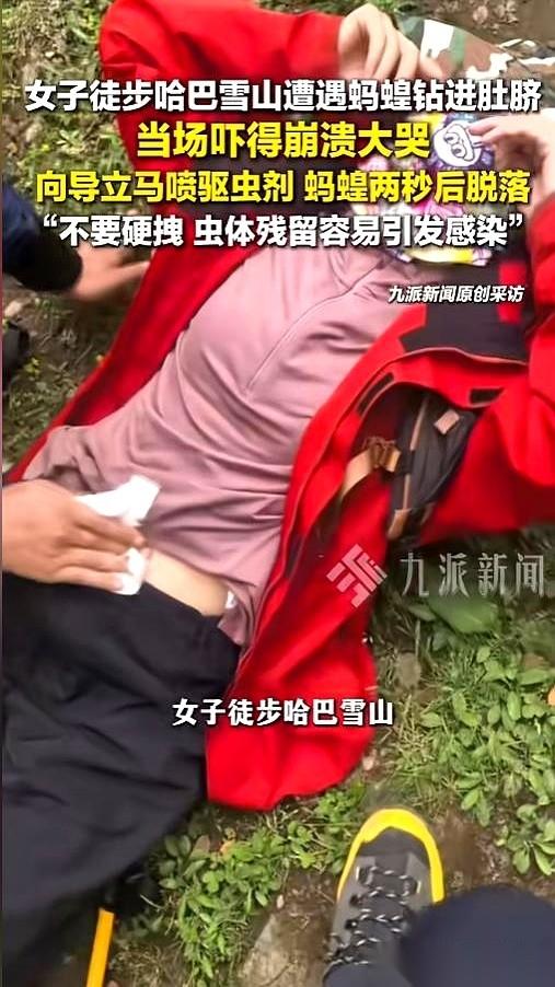 你敢信吗？随手撩开衣服想透个气，低头一看，半截黑乎乎、滑腻腻的蚂蟥，正拼了命地