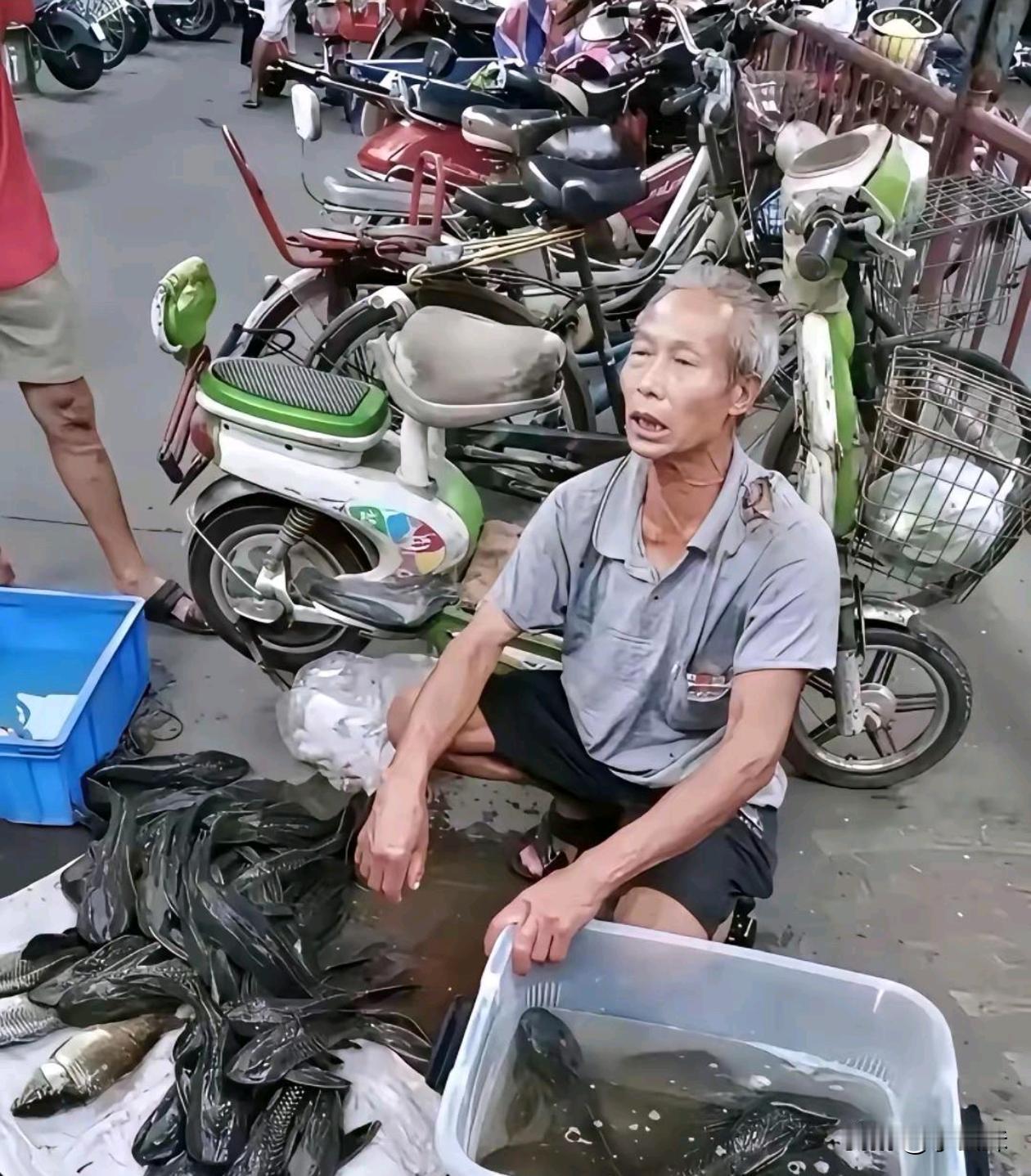 大爷拿清道夫来卖，这真的有人买吗？