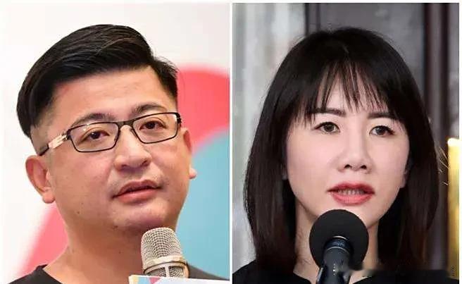 蓝营内斗升级！谢典林参选国民党主席引爆彰化选情危机，姐姐公开唱反调2025