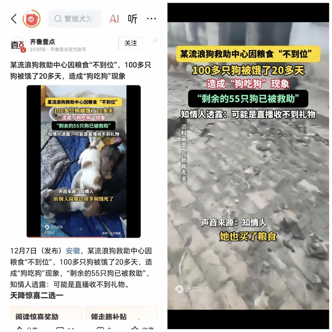 爱心别喂了黑心！百只狗狗饿20多天竟被逼到狗吃狗，哪是缺粮，全是假救助真圈钱的恶