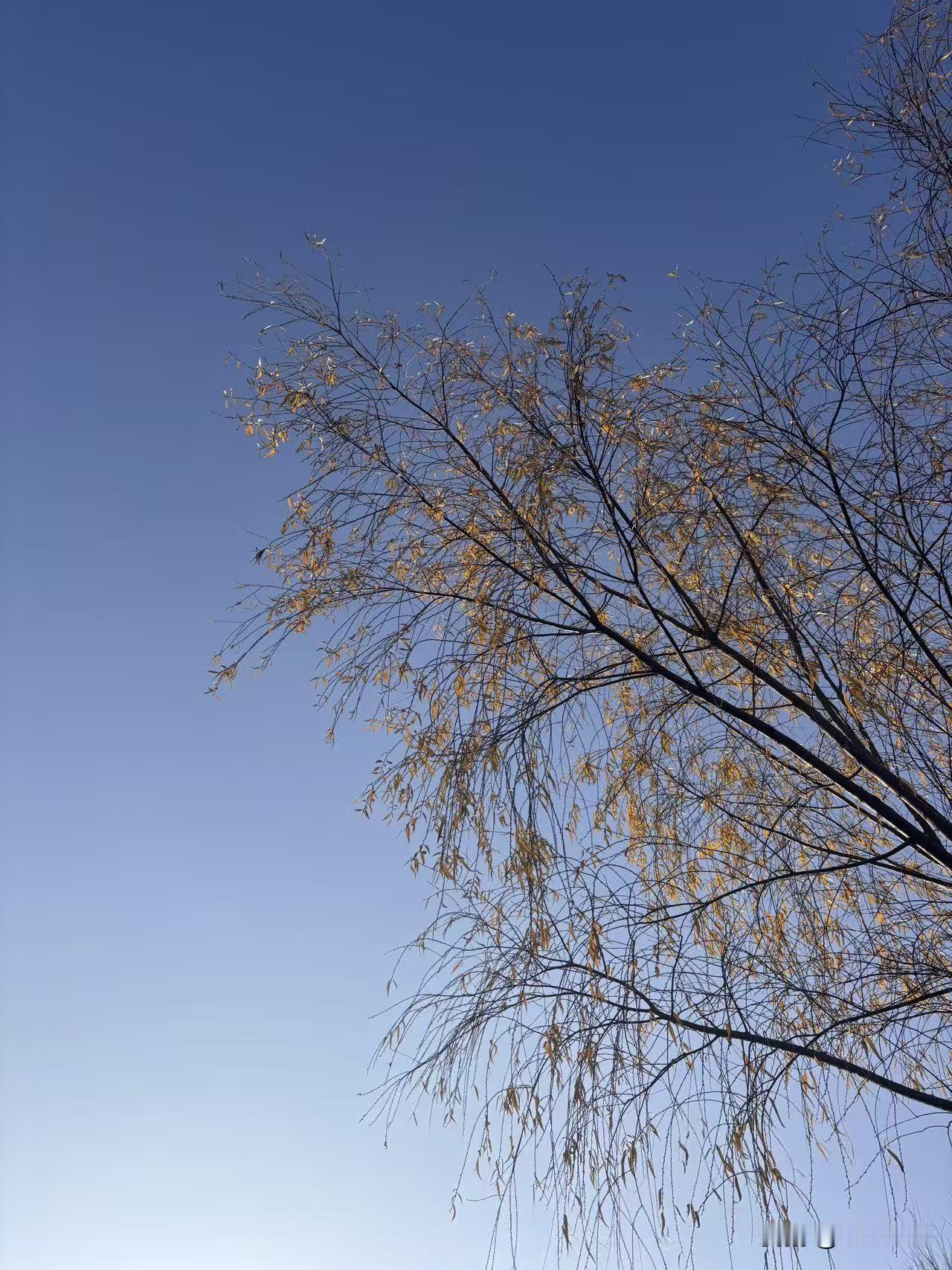 腰疼颈椎问题已缠上三四十岁的青中年人了。今天去省中医做针灸，8点半到针灸科，走