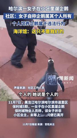 “活久见！”黑龙江哈尔滨一女子在小区里溜宠物，但她溜的不是狗，也不是猫，而是在南