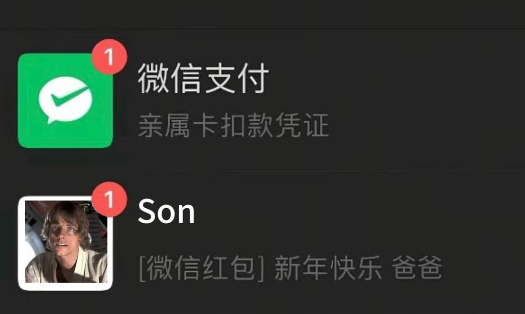 笑了很久才敢放出来又是弱智梗图父子篇内含走天父子