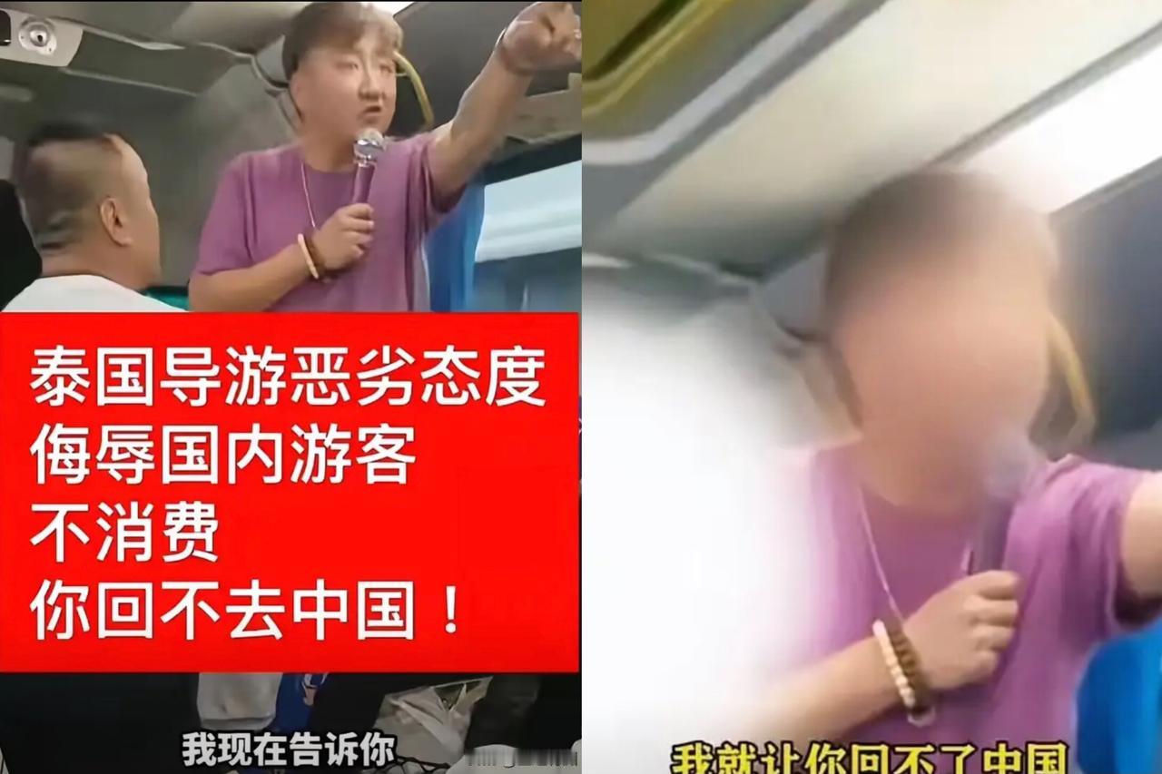 今天刚刷到这视频，泰国警方这波处理真叫一个大快人心！中国籍无证导游李海，就因为