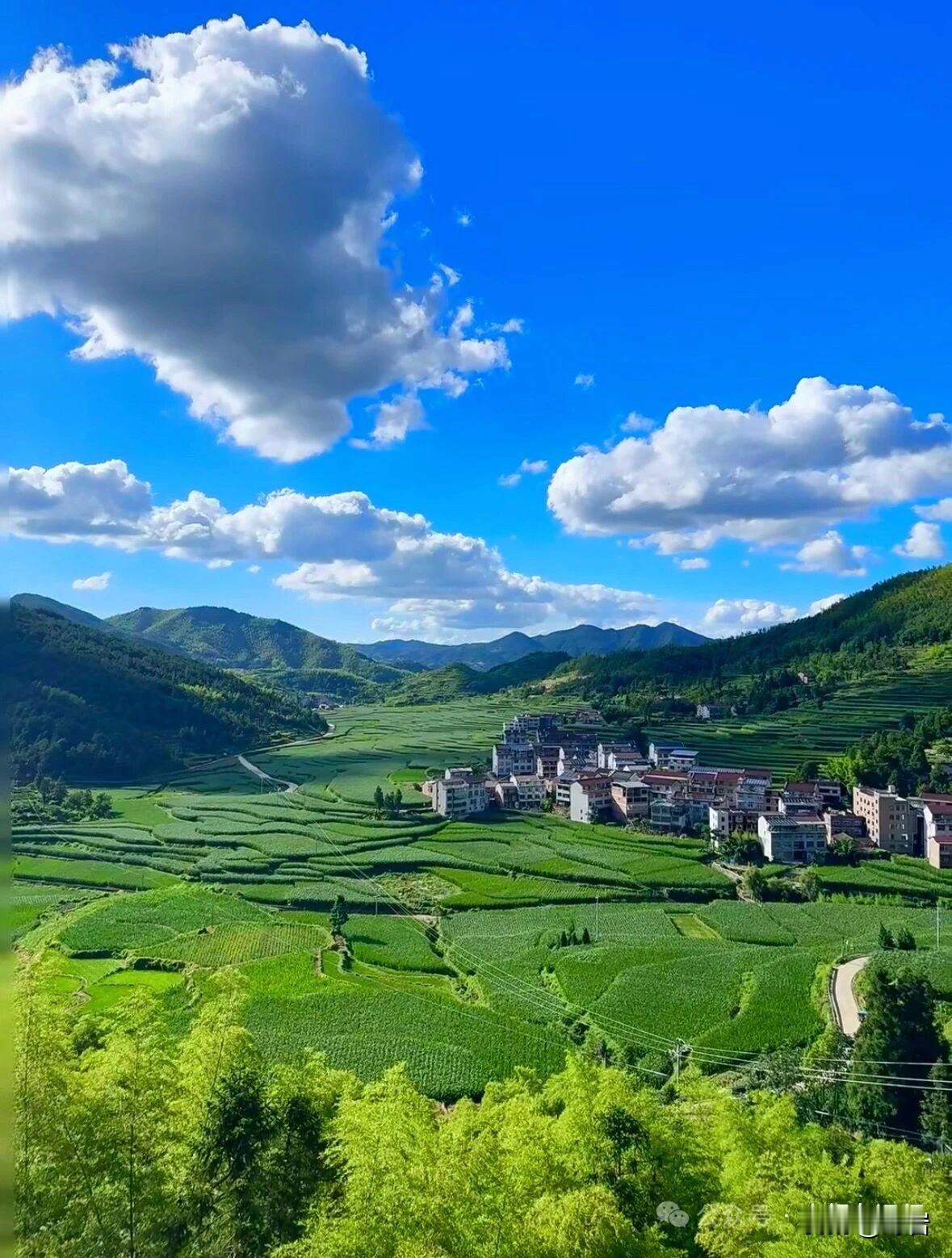 职场立足八大心眼，少踩坑少内耗1. 多和离职同事谈心在职者有所顾忌，离职