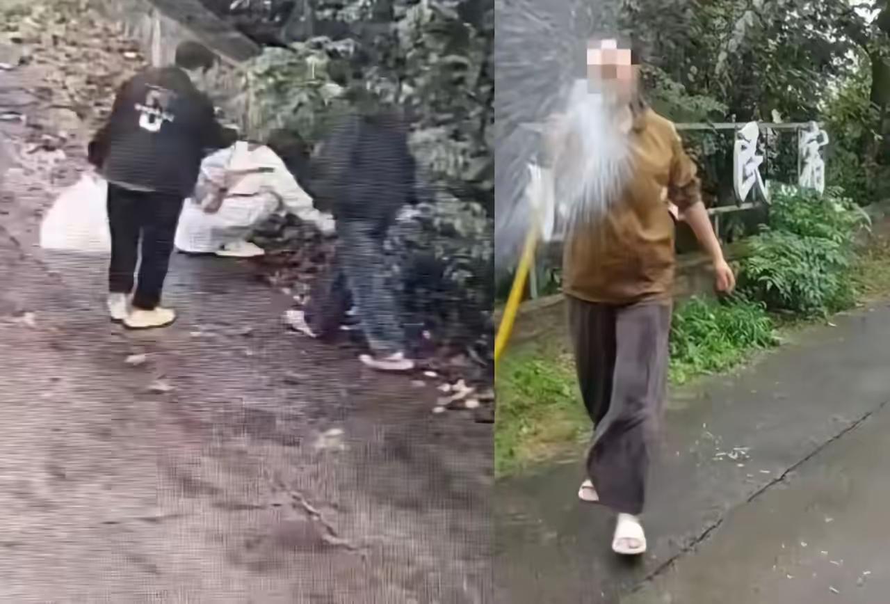 民宿老板真够横的！游客捡板栗壳，他就扣偷盗帽子，用水枪喷人，还逼赔钱。结果景区直
