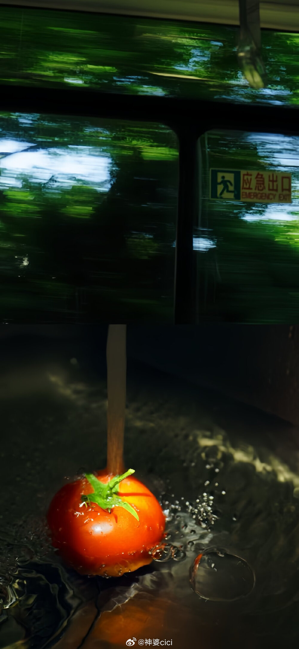 狮子座是天生的王者，爱面子爱逞强，其实内心住着个需要被夸的小朋友。嘴上说着“我不