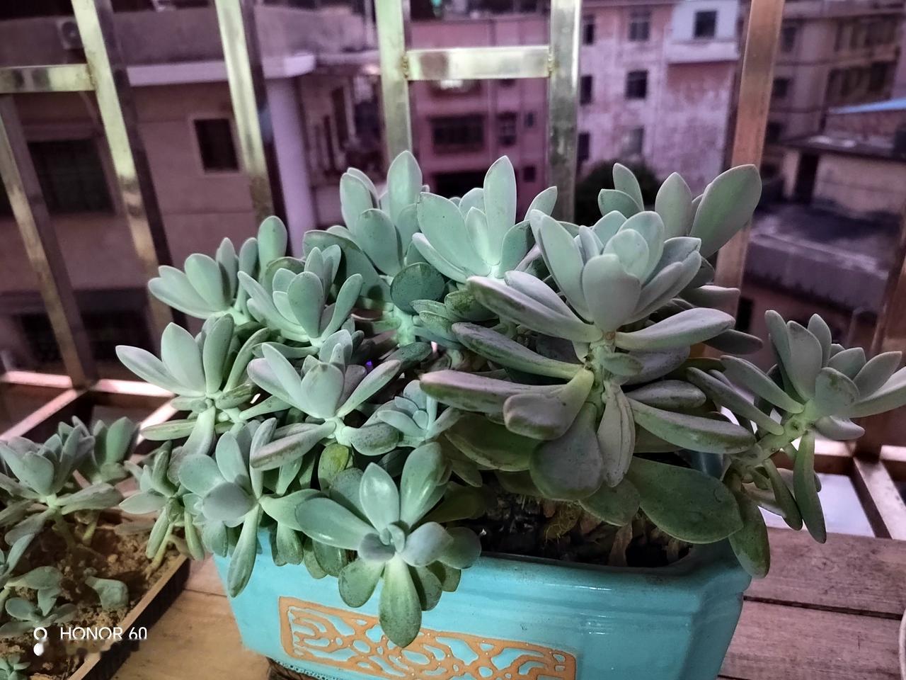 今天看到一个新词，叫内核破碎。查了度娘才知道。原来在看透人性虚伪和社会规