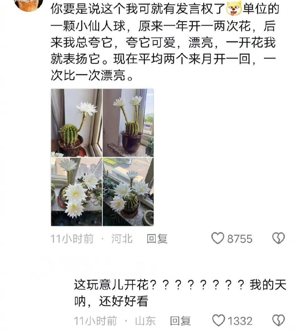 原来植物能听懂我们说话|又是感慨大自然神奇的一条​​​