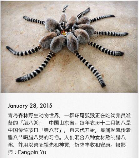 妈蛋还以为是蜘蛛。