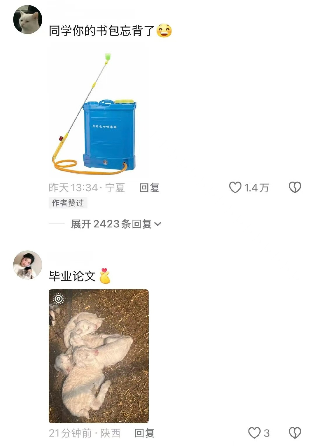 别人都是上岸只有农学生是下地毕业的时候看好论文，别让羊吃了​​​