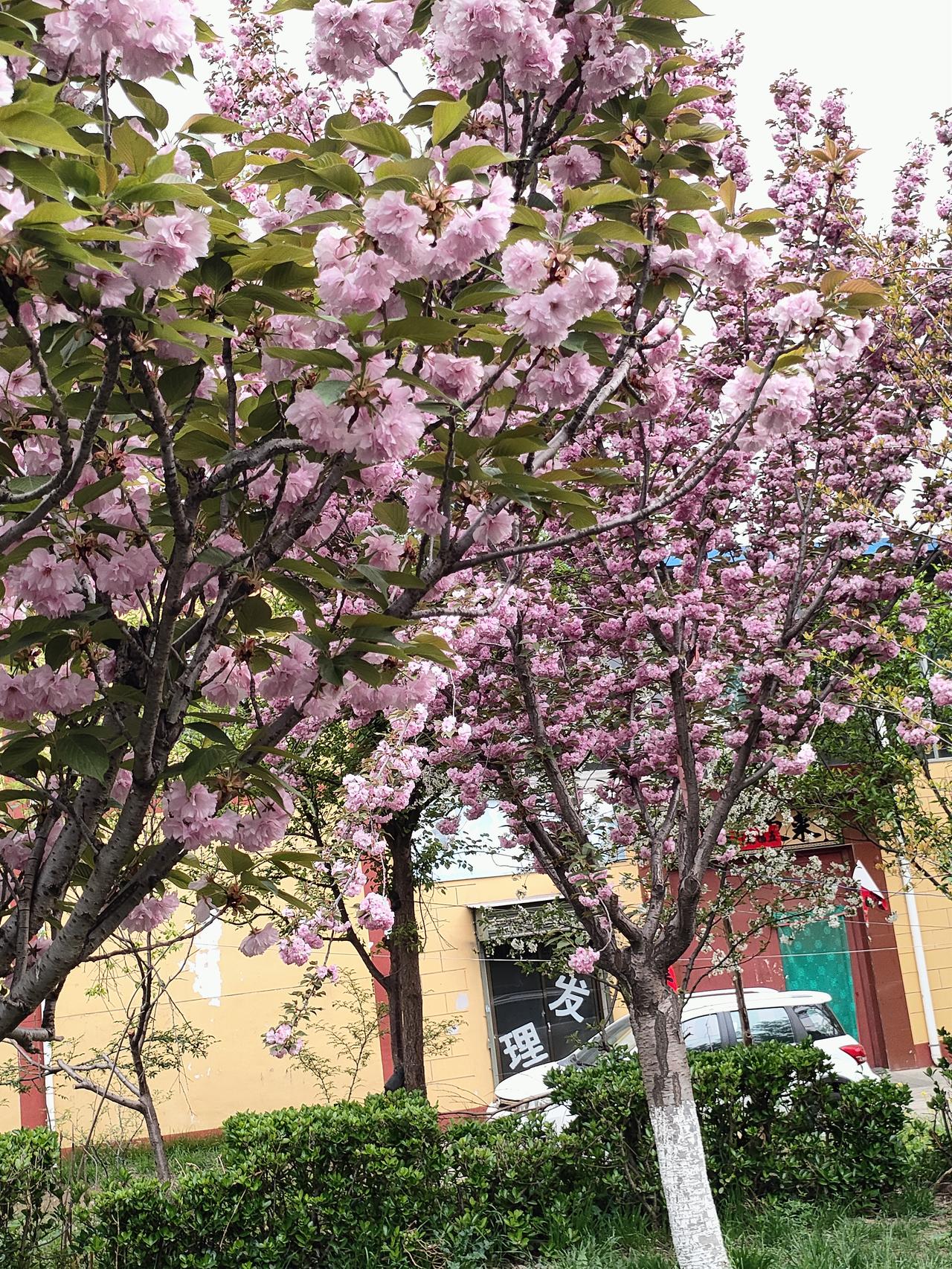 人到中年，一边崩溃一边自愈，万般皆苦，唯有自渡人这一辈子，最熬人的阶段，大