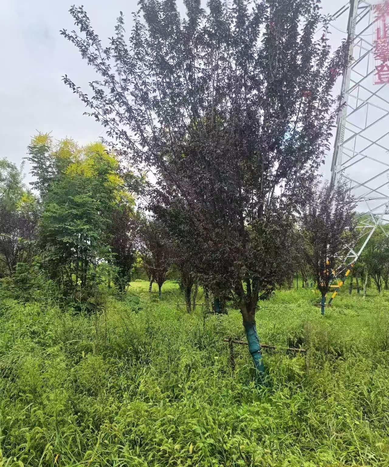 生孩子有意义吗？我觉得一点意义都没有。现在还会有人劝我生个二胎，我说算了吧，一个