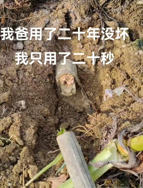 我也是很无奈啊