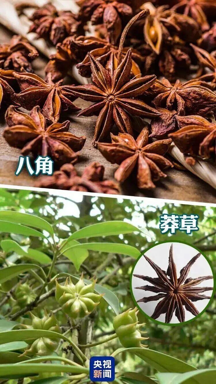真的要给浙江舟山黄女士家两个小朋友点个大大的赞，要不是孩子好奇问了句“为什么叫八
