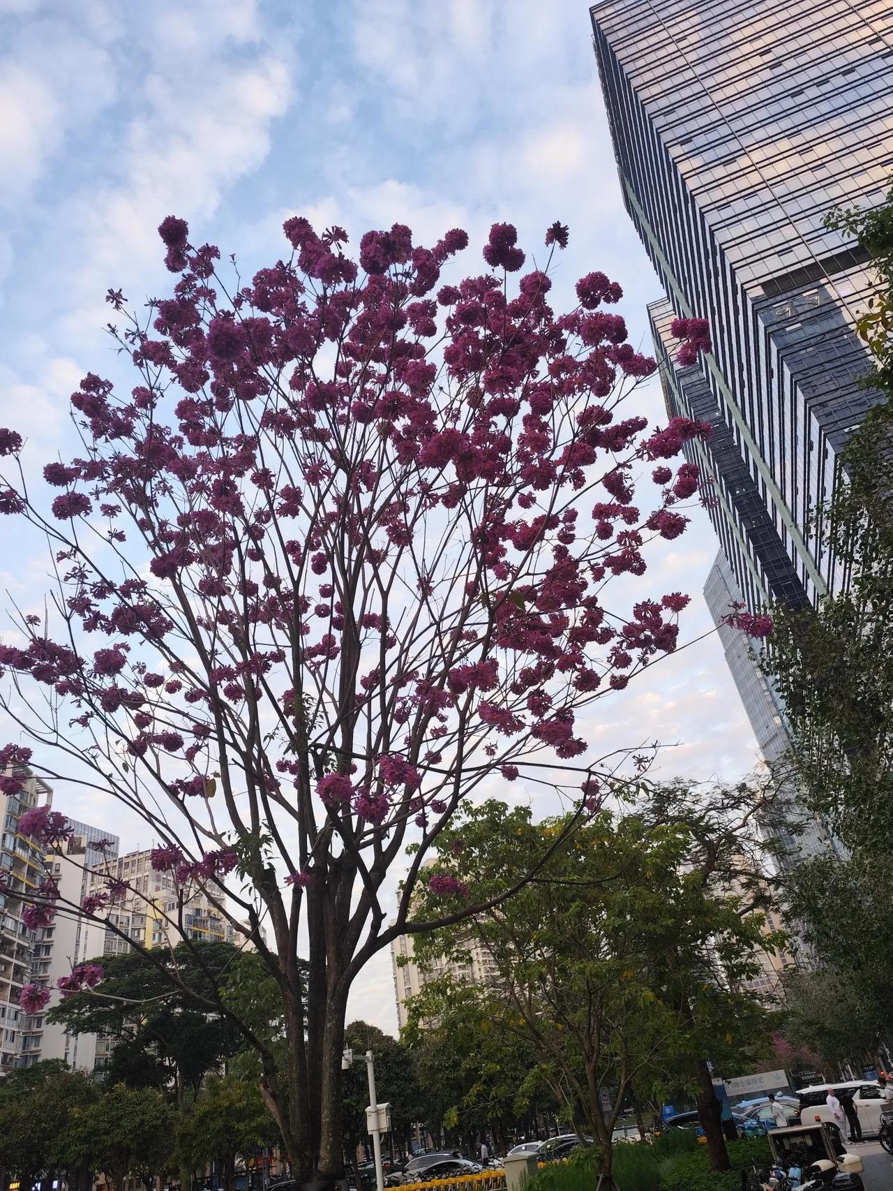 打油诗今冬活捉释和尚往年大造是高僧信徒尴尬怎么办去除迷信是关键世上本无