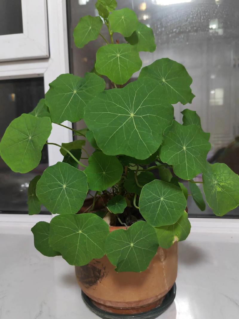 在单位里摸爬滚打这么多年，今天想掏心窝子和大家说点实在话。不知道你身边有没有