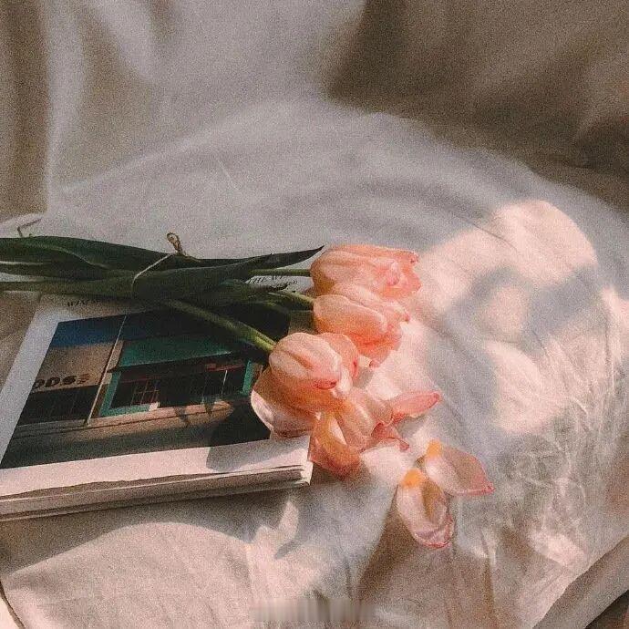 我等你回信的意思是，我期待这件事，我需要你的回信，需要你。——《见春天》晚安推