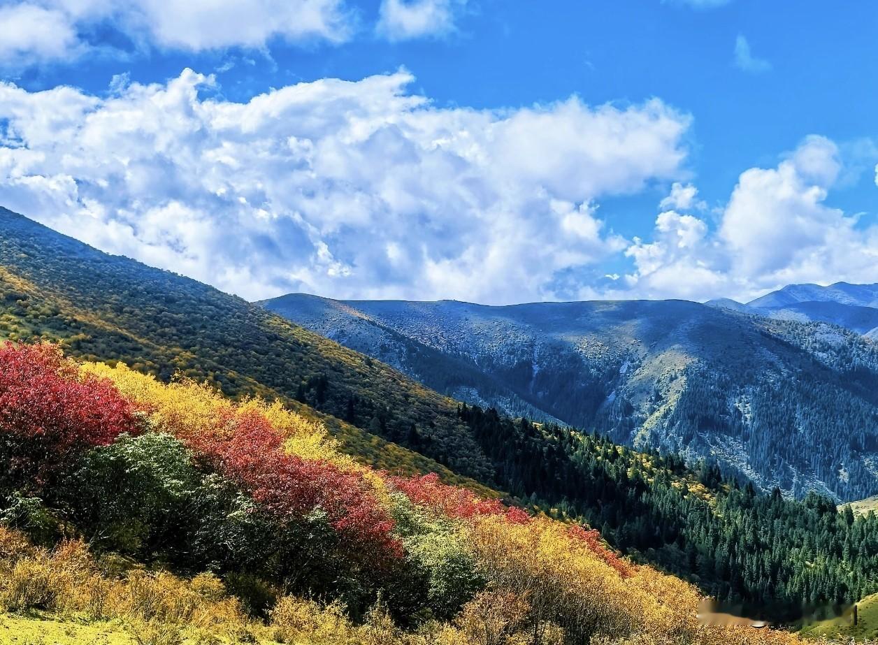 中华彩林第一县密藏宝地，川西人少红叶醉人原生态秘境，免费哦说到彩林，那川西绝对